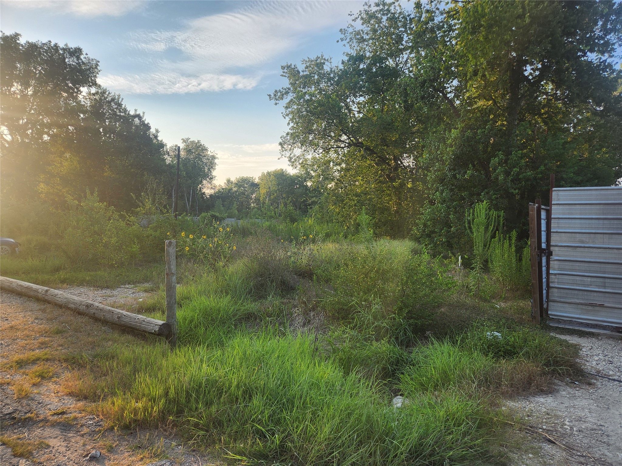 16026 Sam Brookins Street Property Photo 1