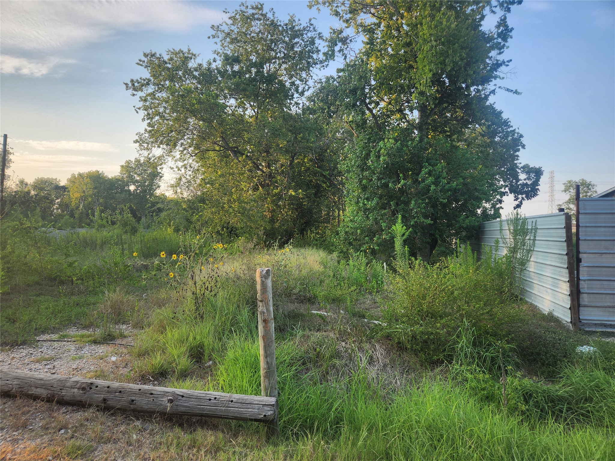 16026 Sam Brookins Street Property Photo 2
