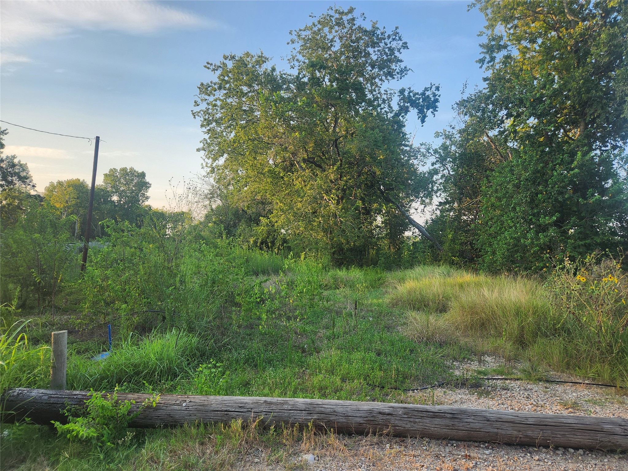 16026 Sam Brookins Street Property Photo 3