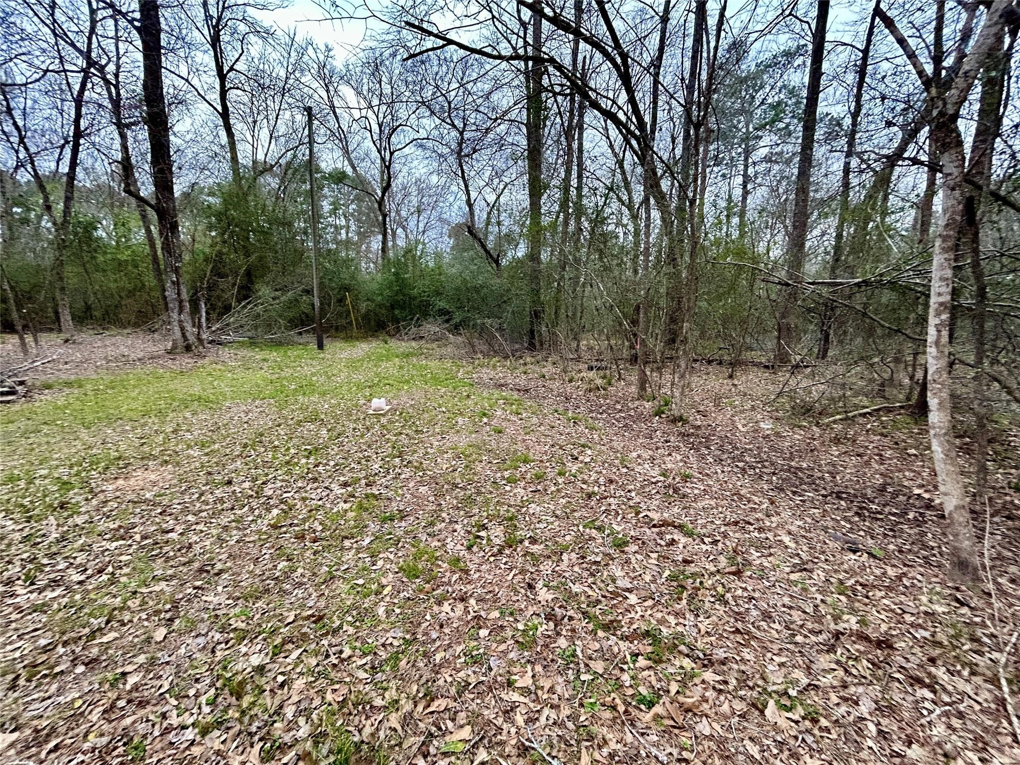 TBD Bluebonnet Drive Property Photo 1