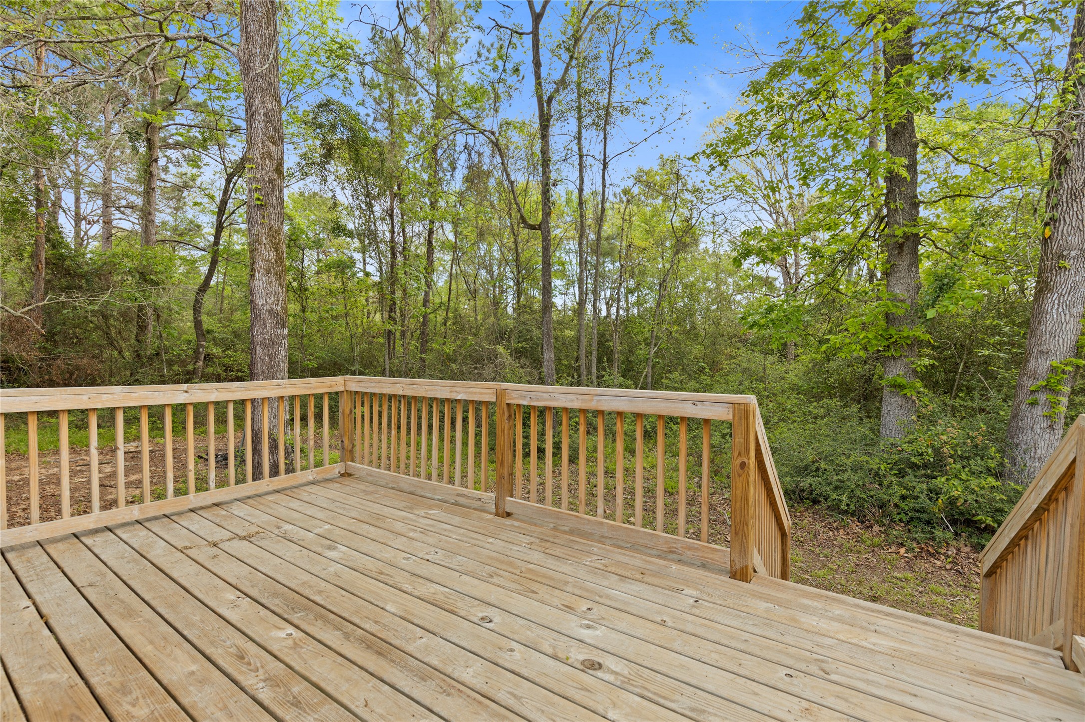 141 Leaning Oak Drive Property Photo 21