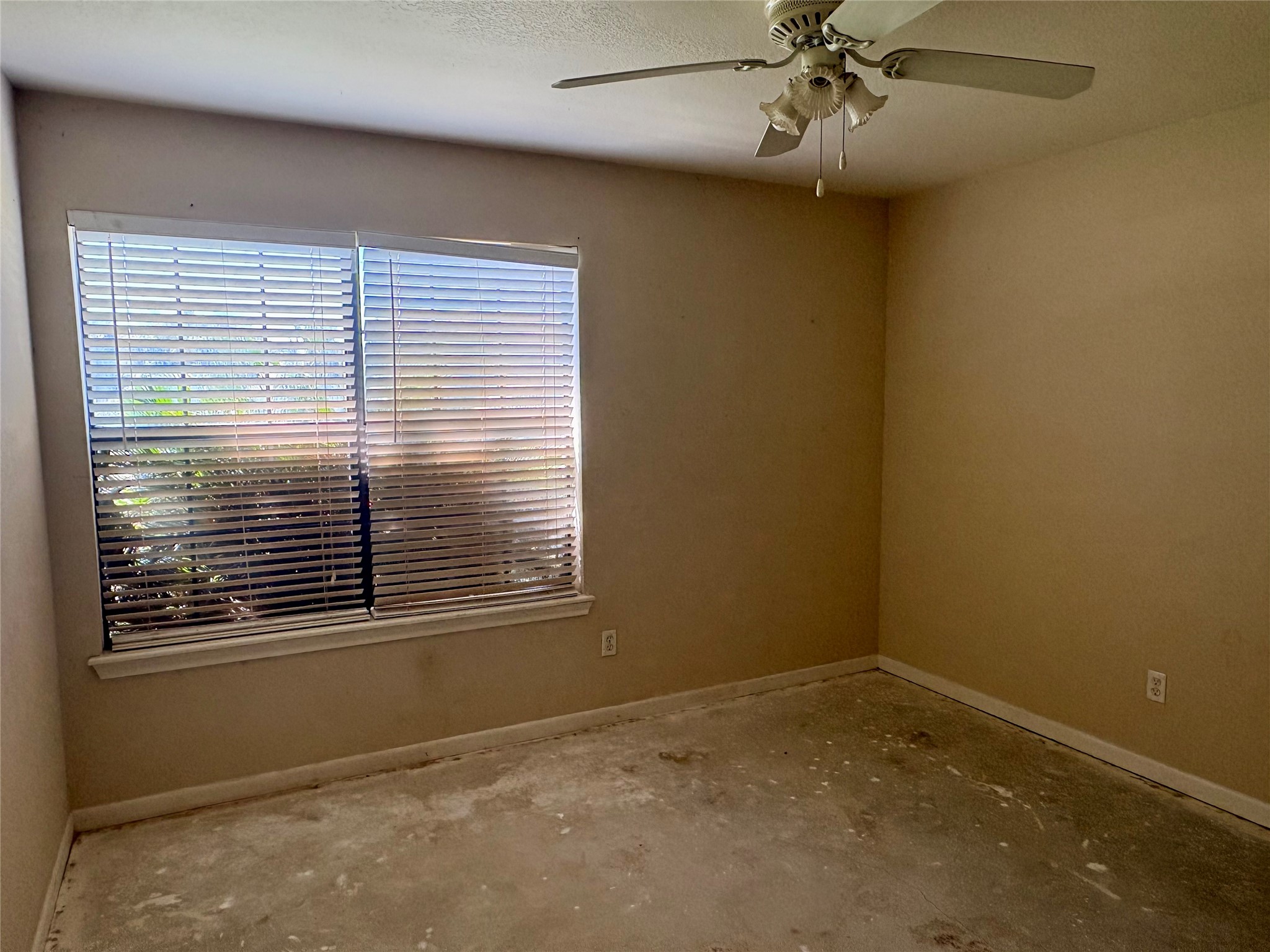 8874 Spring Woods Drive Property Photo 20