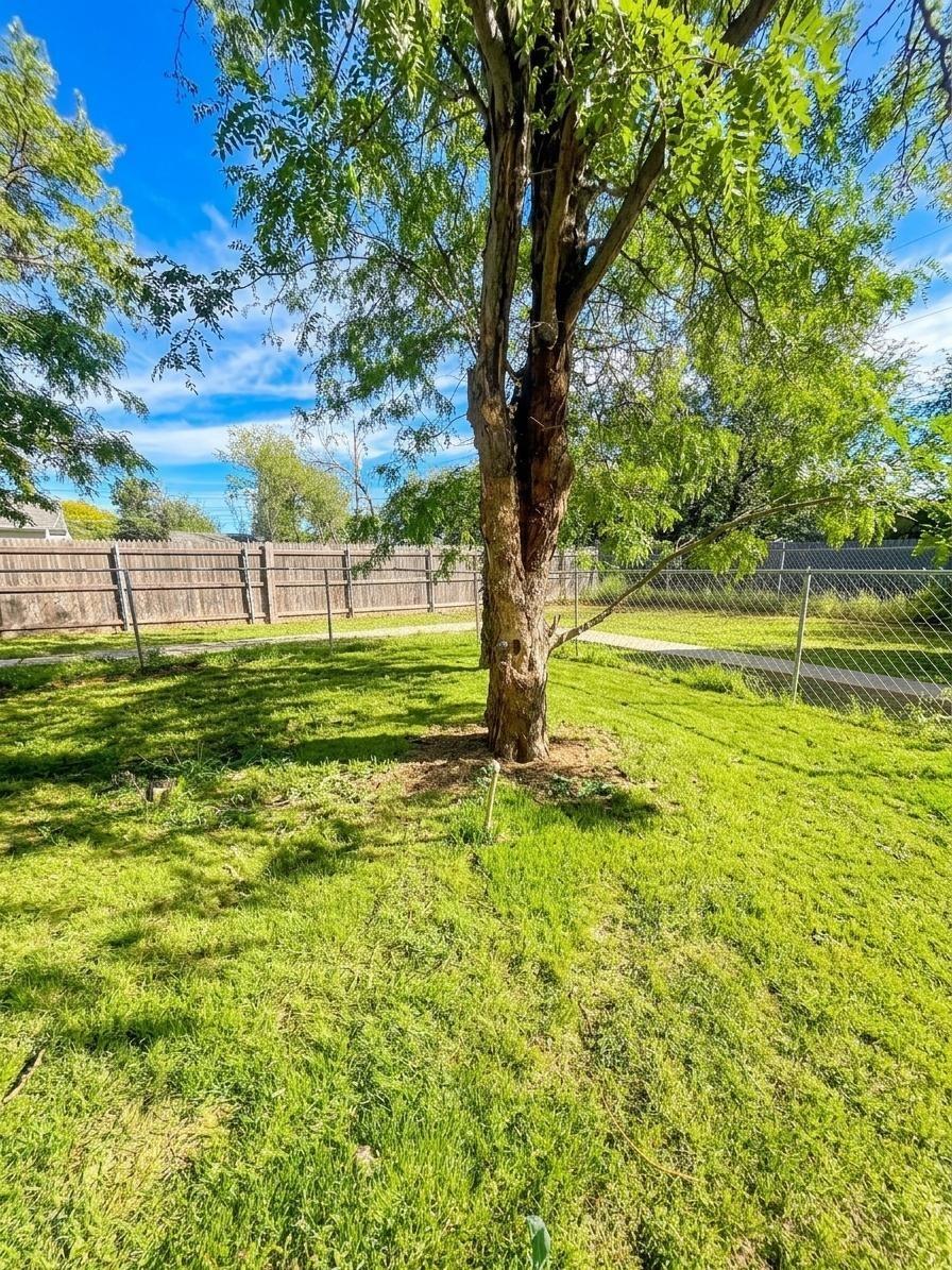 1311 S Western Street Property Photo 22