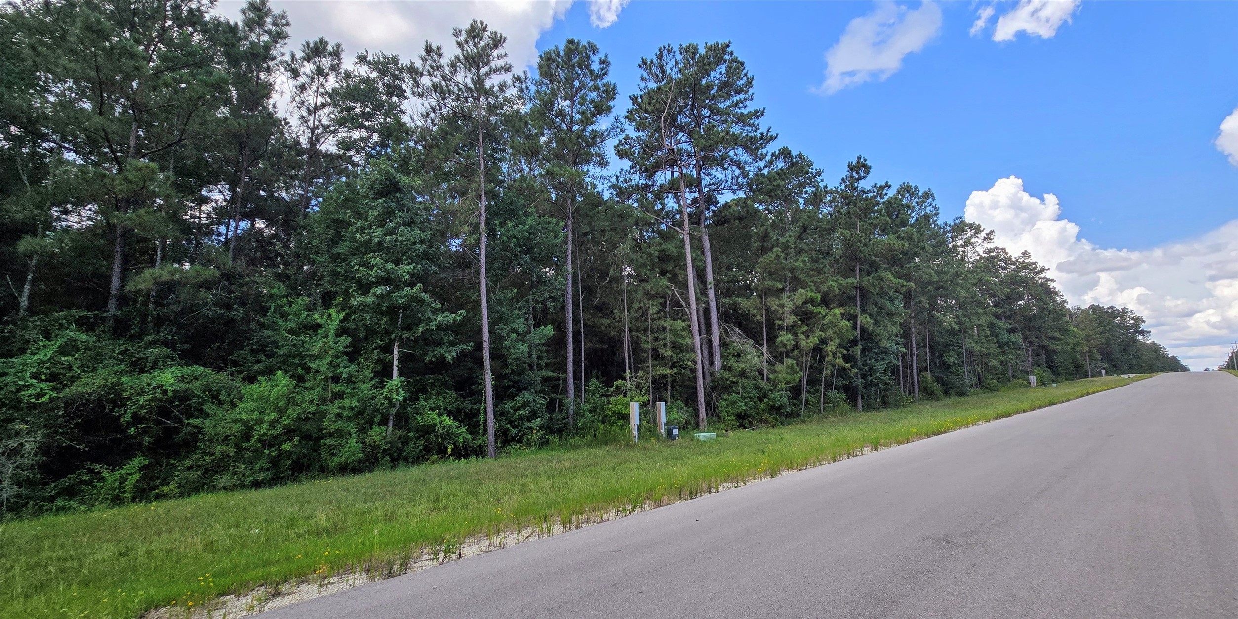 194 Iron Horse Road Property Photo 12