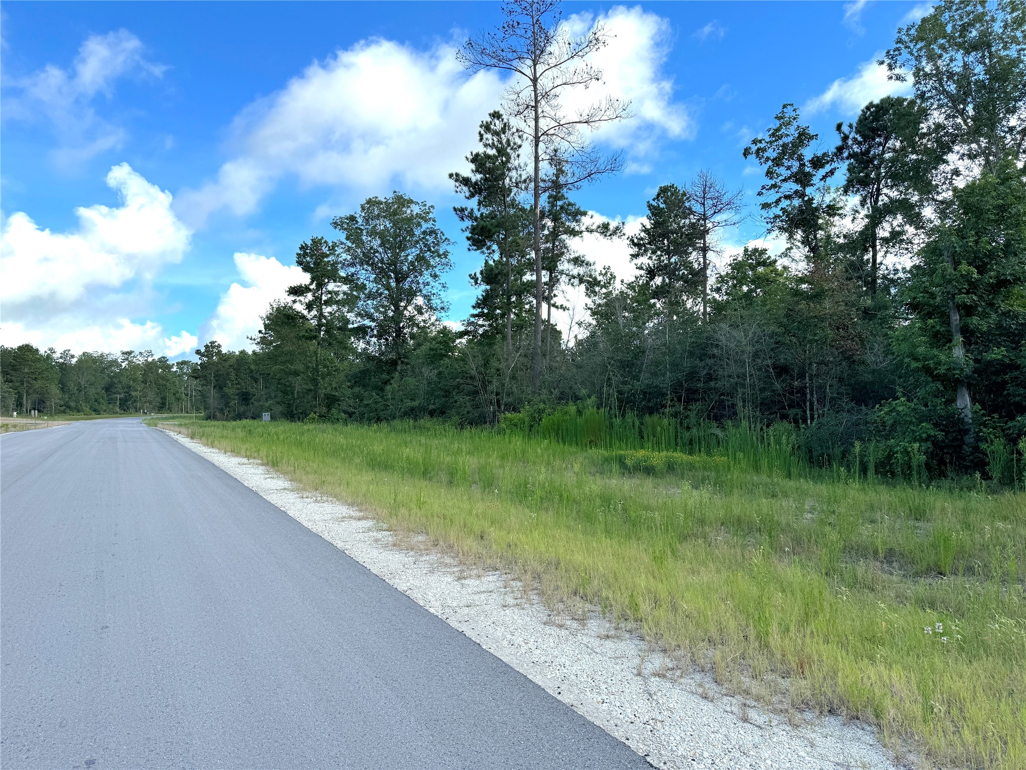 194 Iron Horse Road Property Photo 13