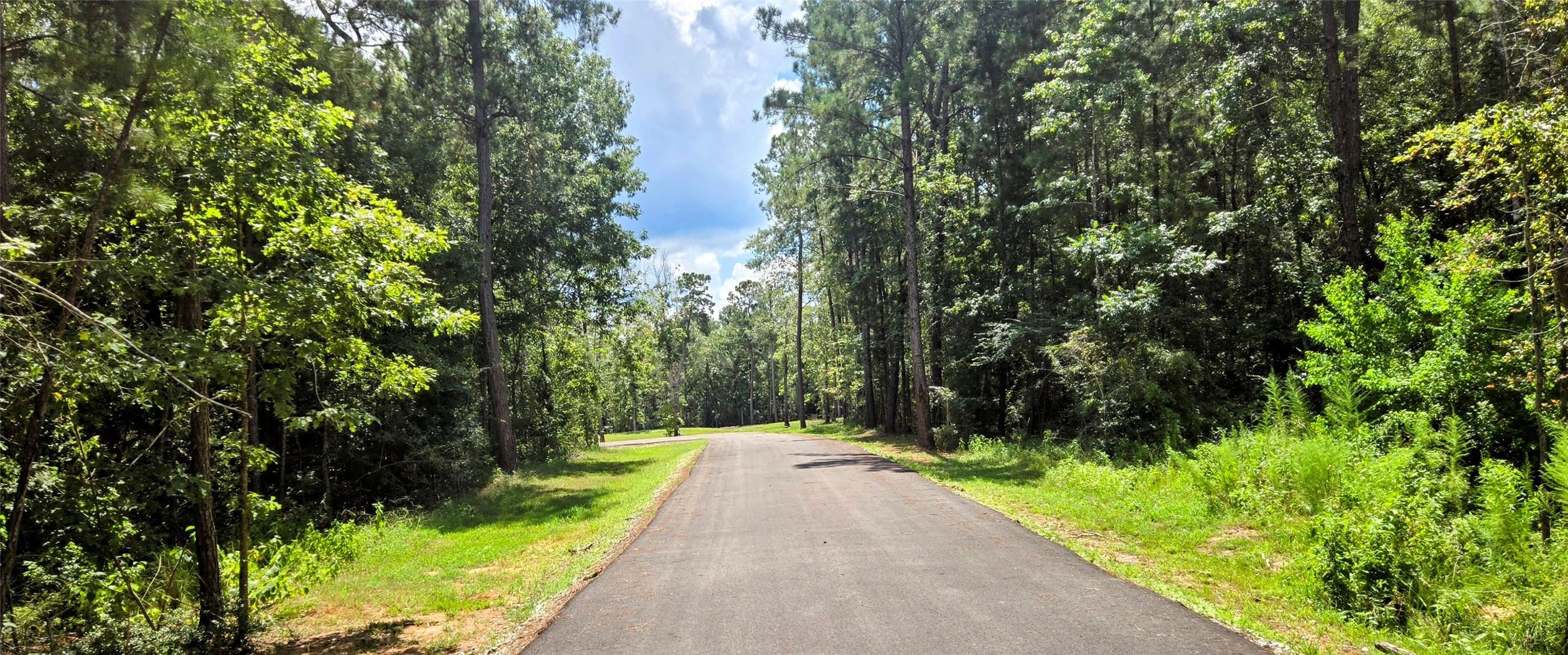 194 Iron Horse Road Property Photo 15