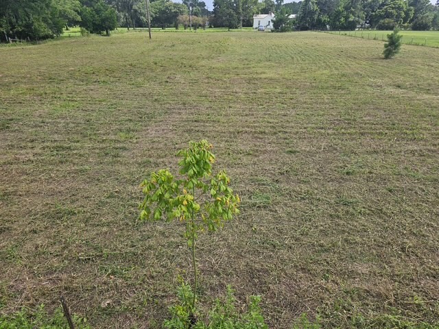 0000 Kimberly Trace Property Photo 3
