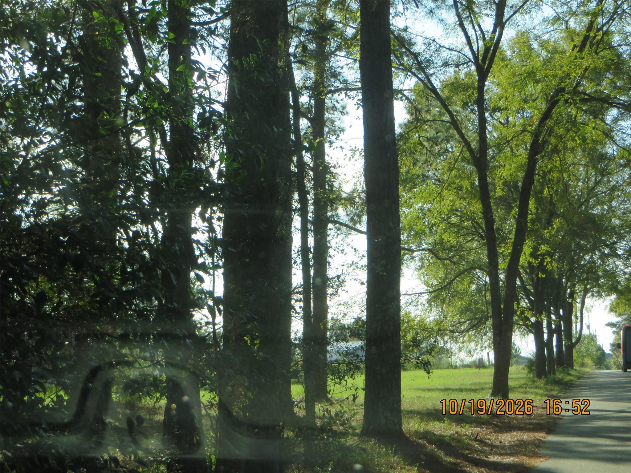 0000 Kimberly Trace Property Photo 11