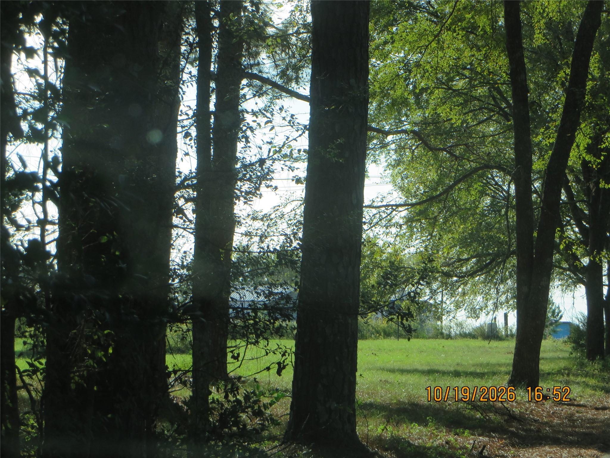 0000 Kimberly Trace Property Photo 12