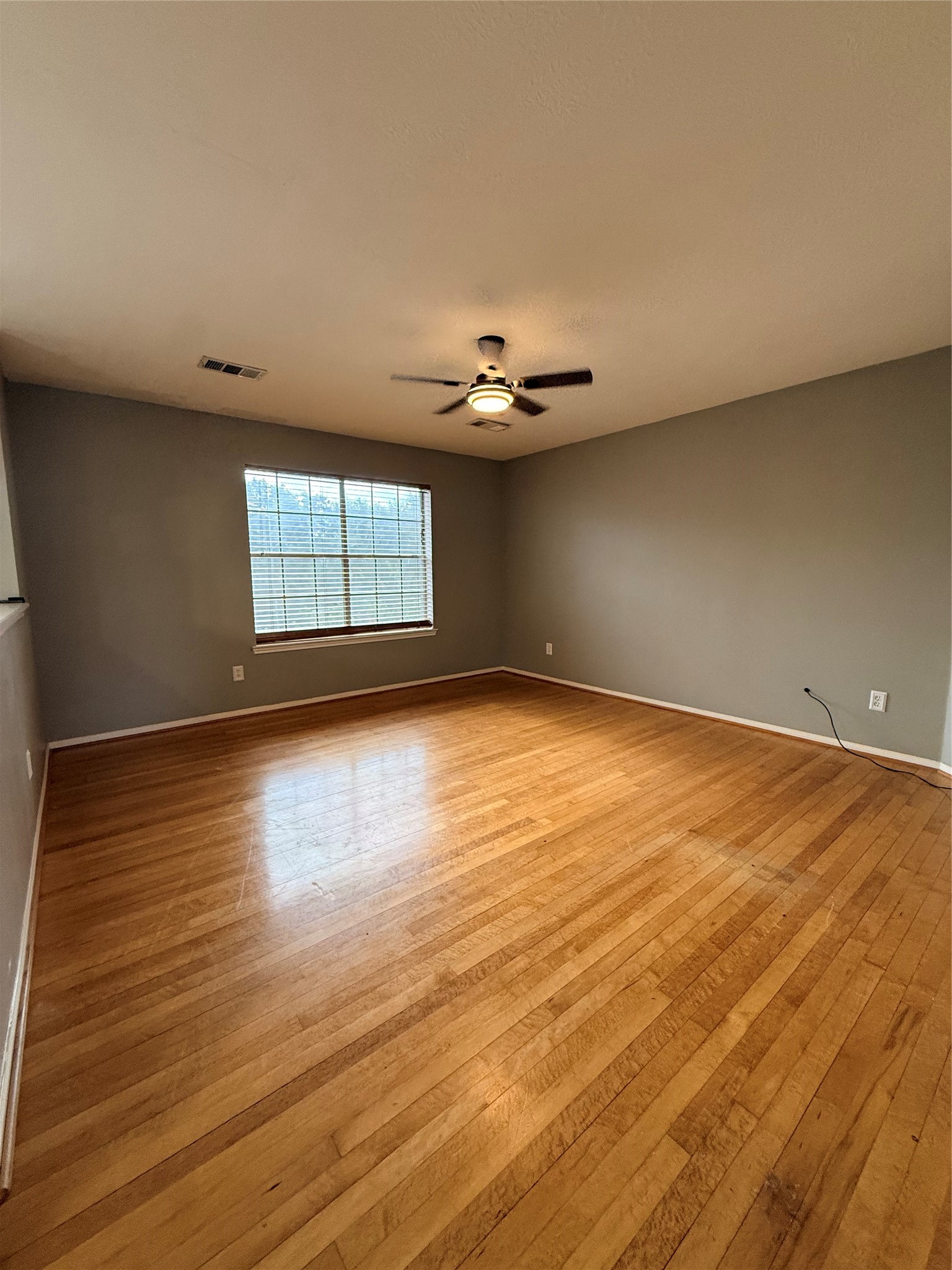 20823 Camphor Tree Drive Property Photo 6