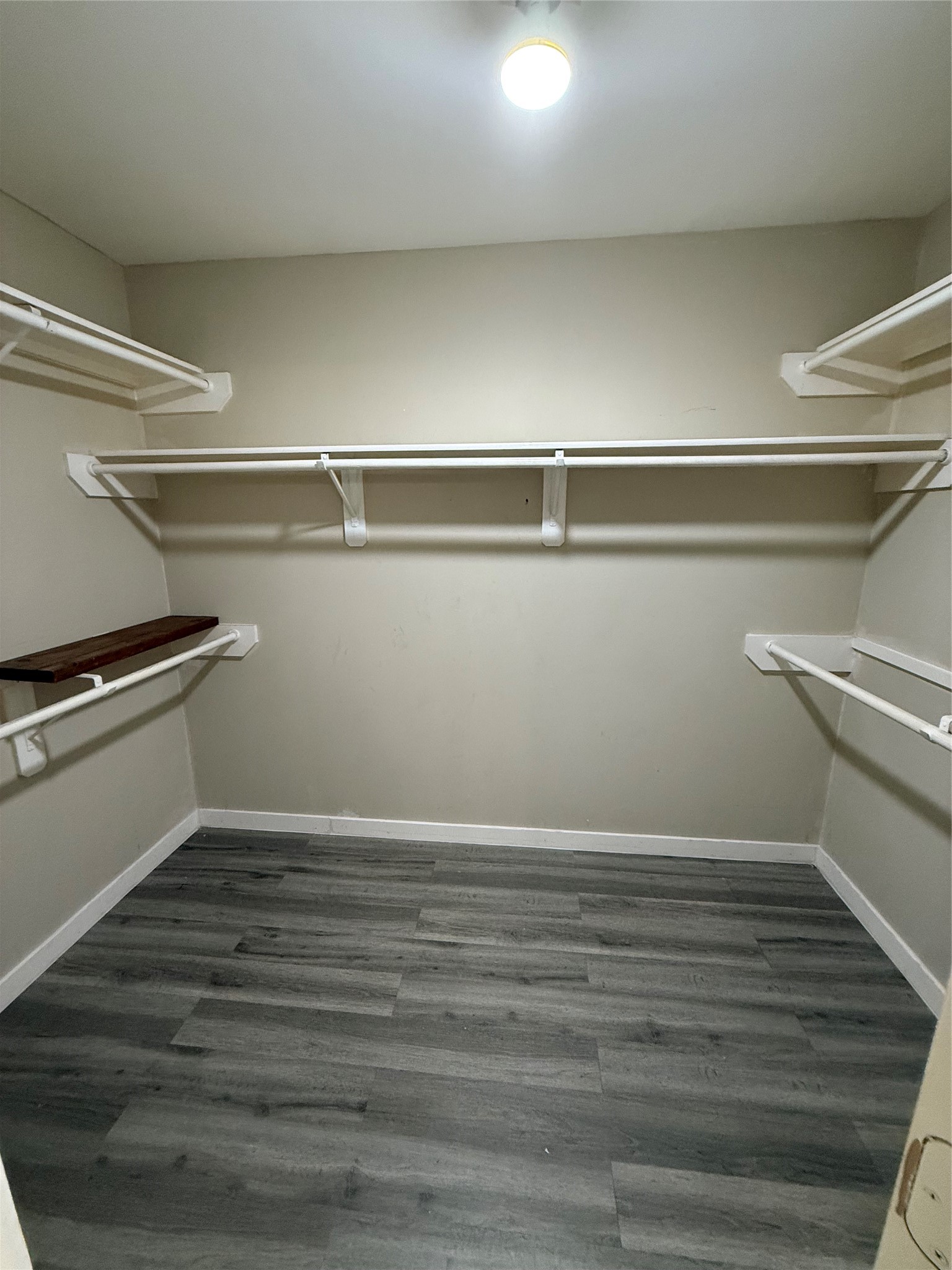 20823 Camphor Tree Drive Property Photo 10