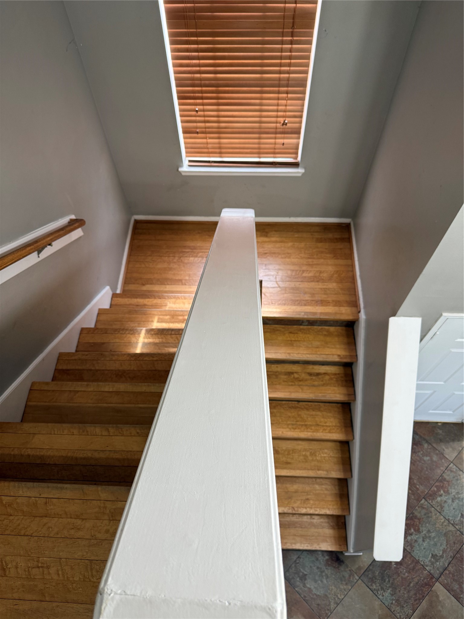 20823 Camphor Tree Drive Property Photo 14