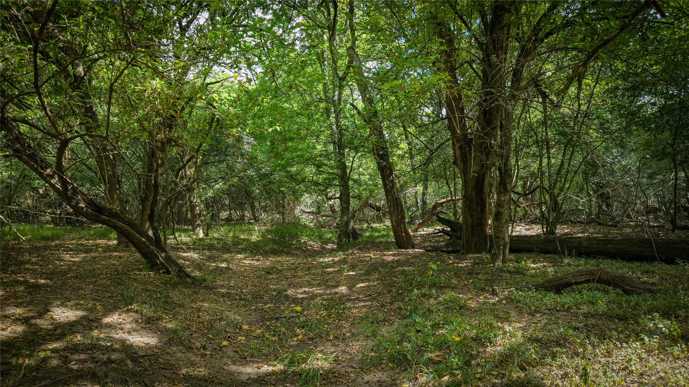 Tract 2 Tbd Mensik Rd Property Photo 10