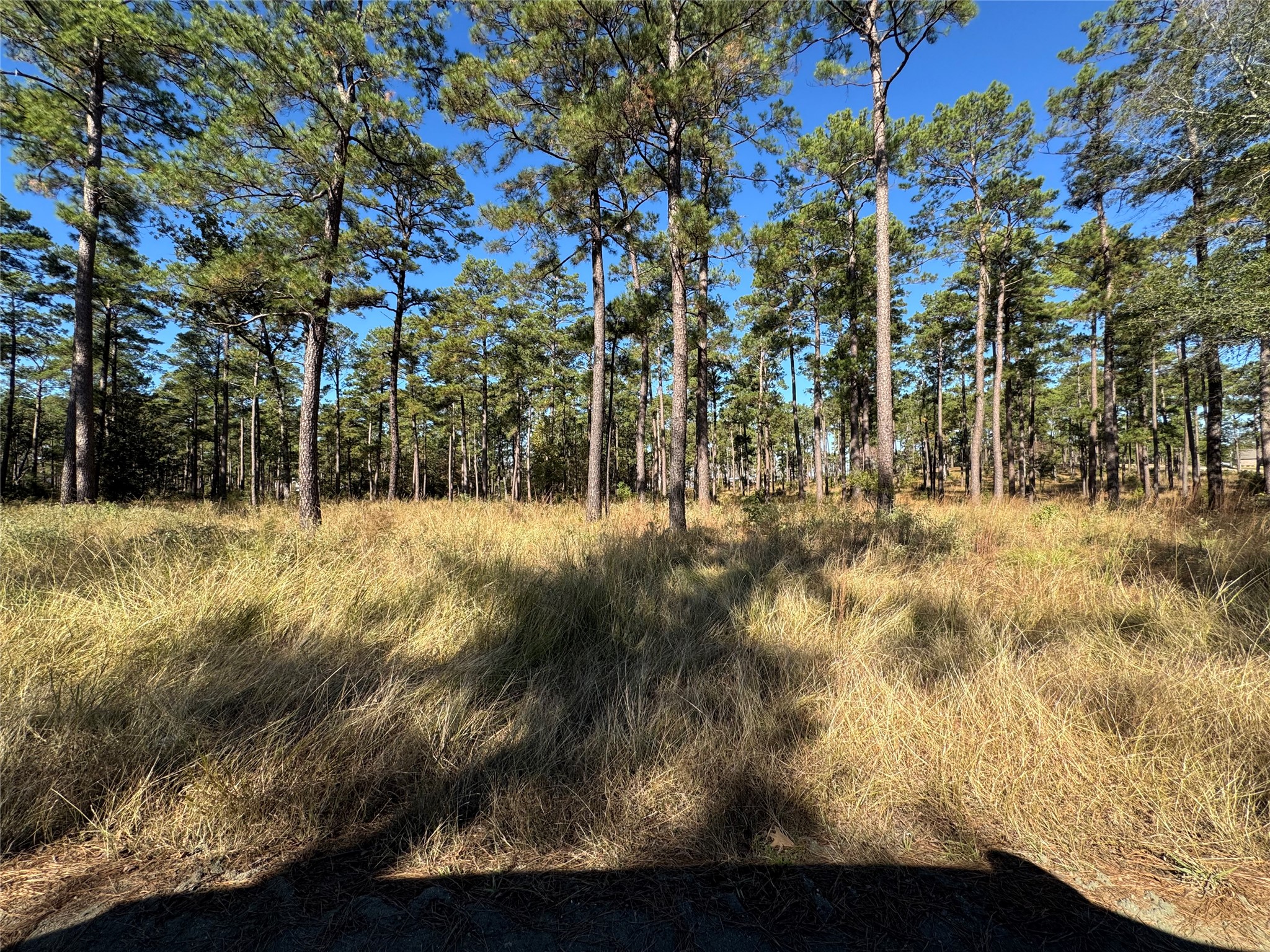 065 Private Road 6026 Property Photo 1