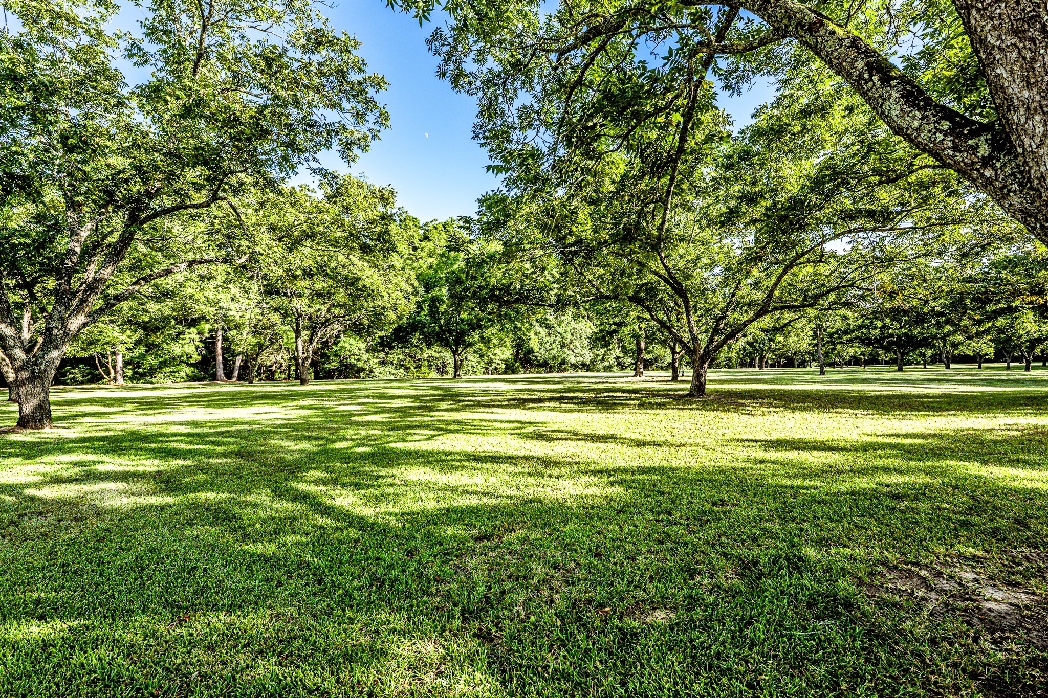 167 Fm 1791 Property Photo 44