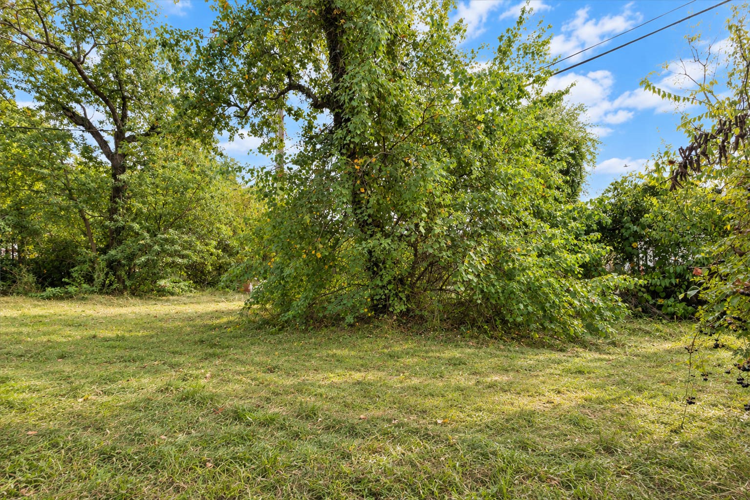 5206 Rapido Road Property Photo 18