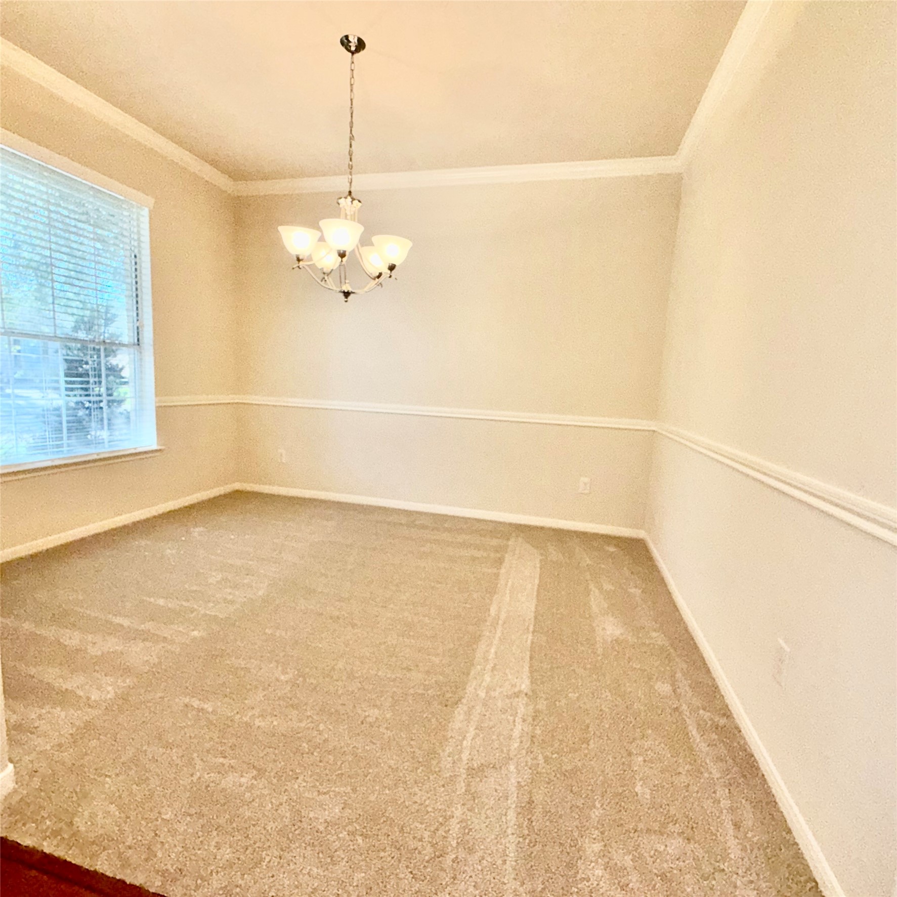 2405 Alamanni Drive Property Photo 16