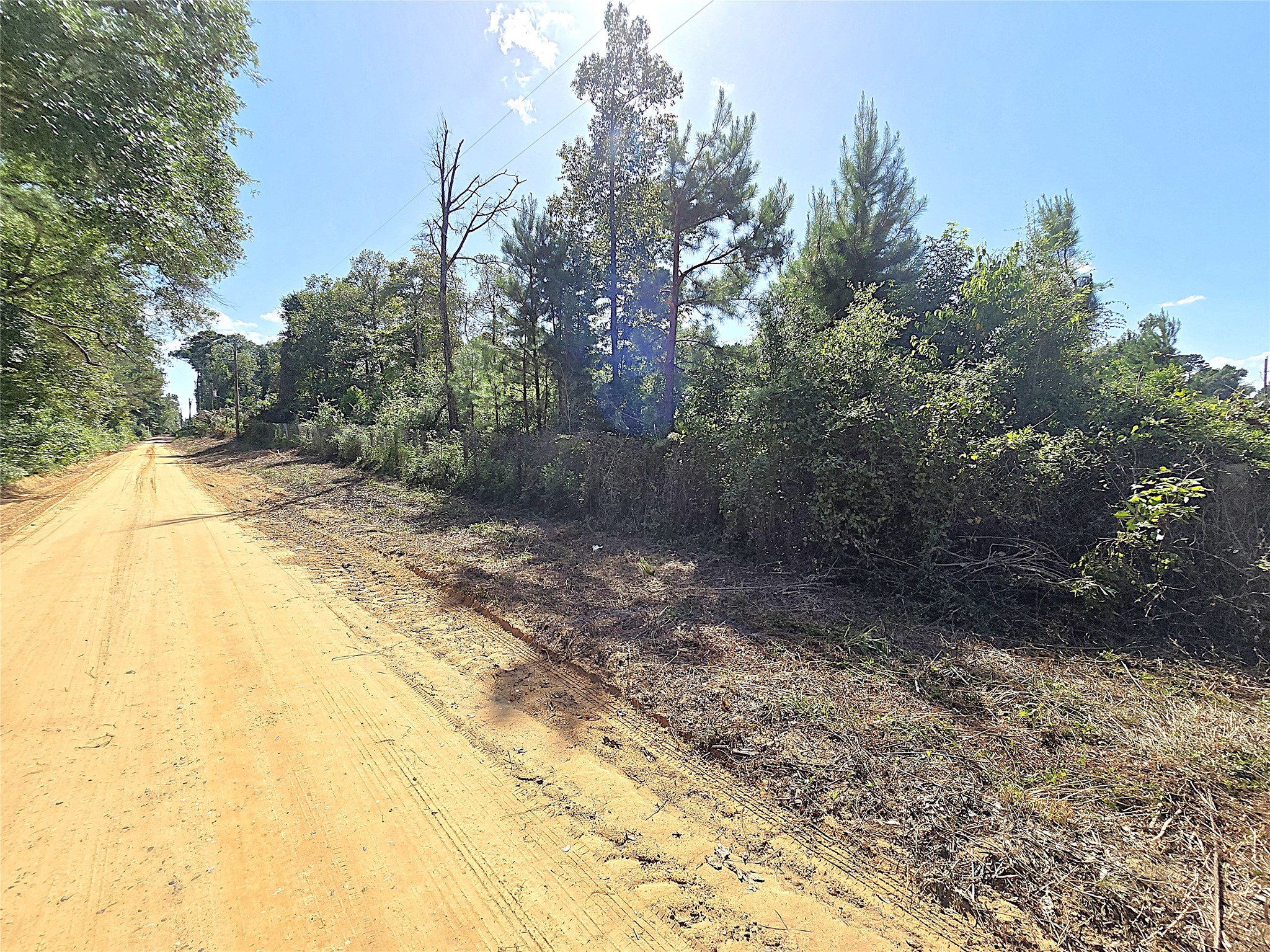 Tbd Margie Drive Property Photo 3