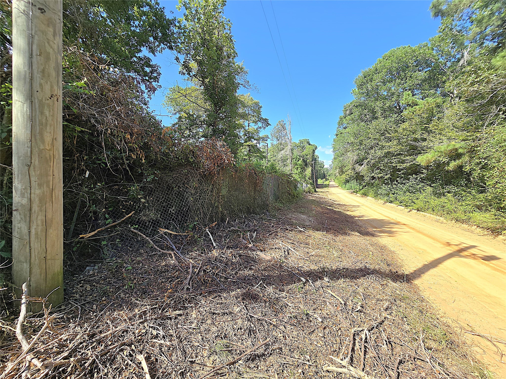 Tbd Margie Drive Property Photo 4