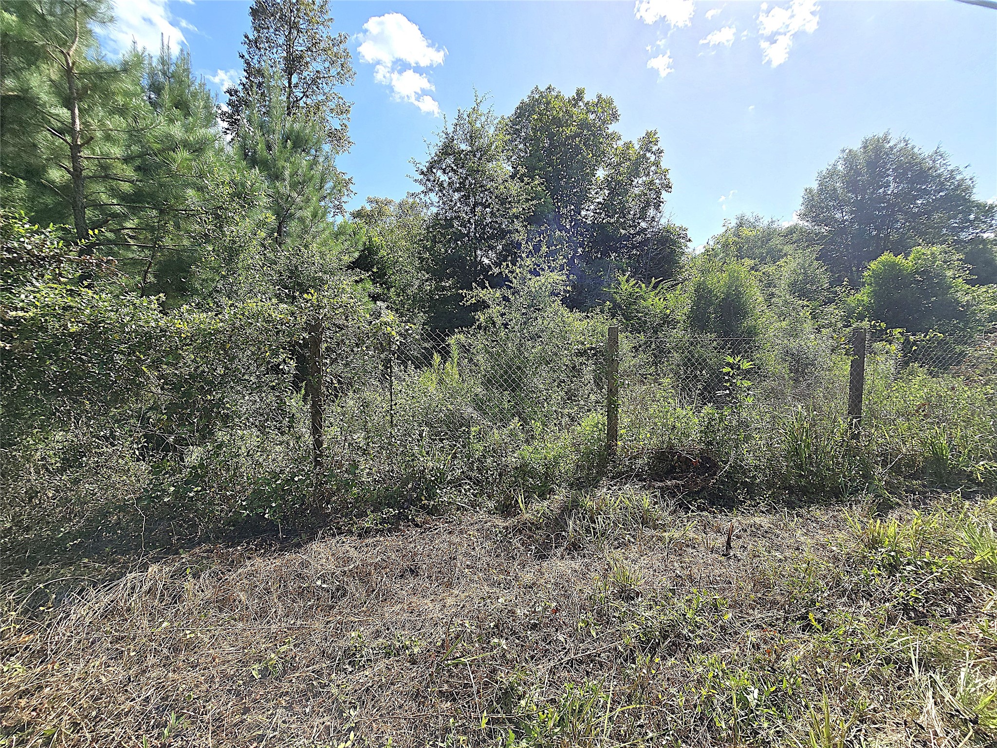 Tbd Margie Drive Property Photo 5