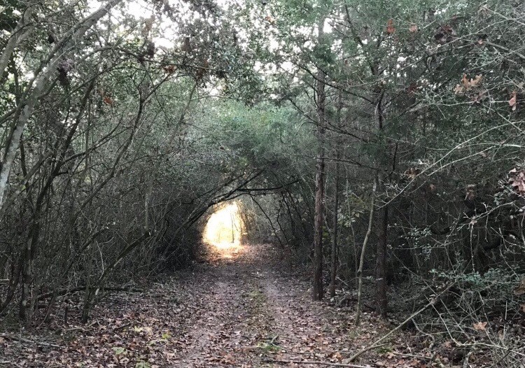 1803 Doe Run Drive