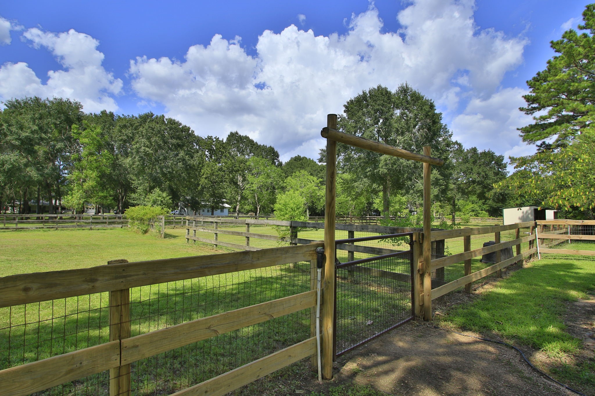 30820 Collier Smith Road Property Photo 47