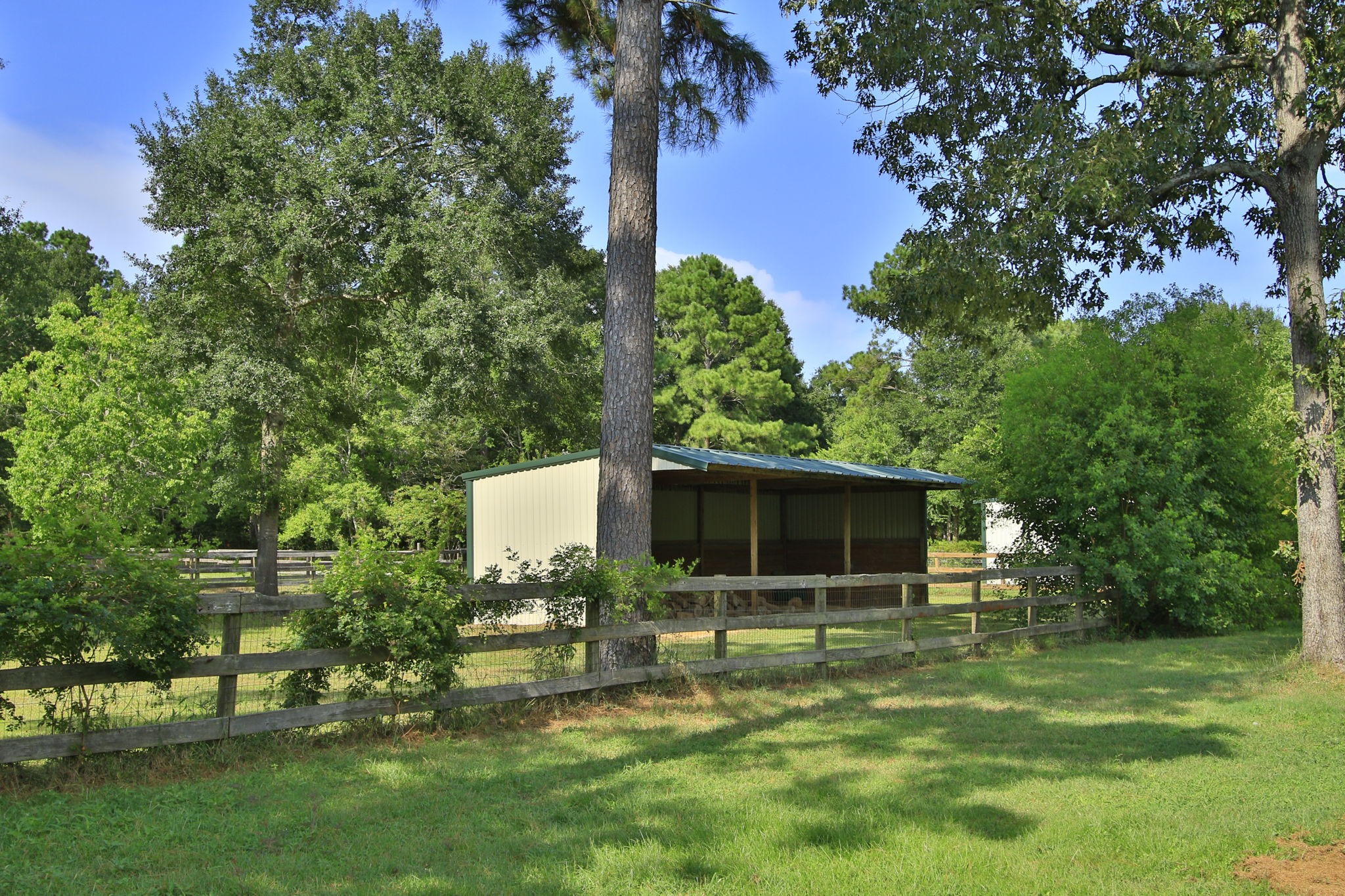 30820 Collier Smith Road Property Photo 48