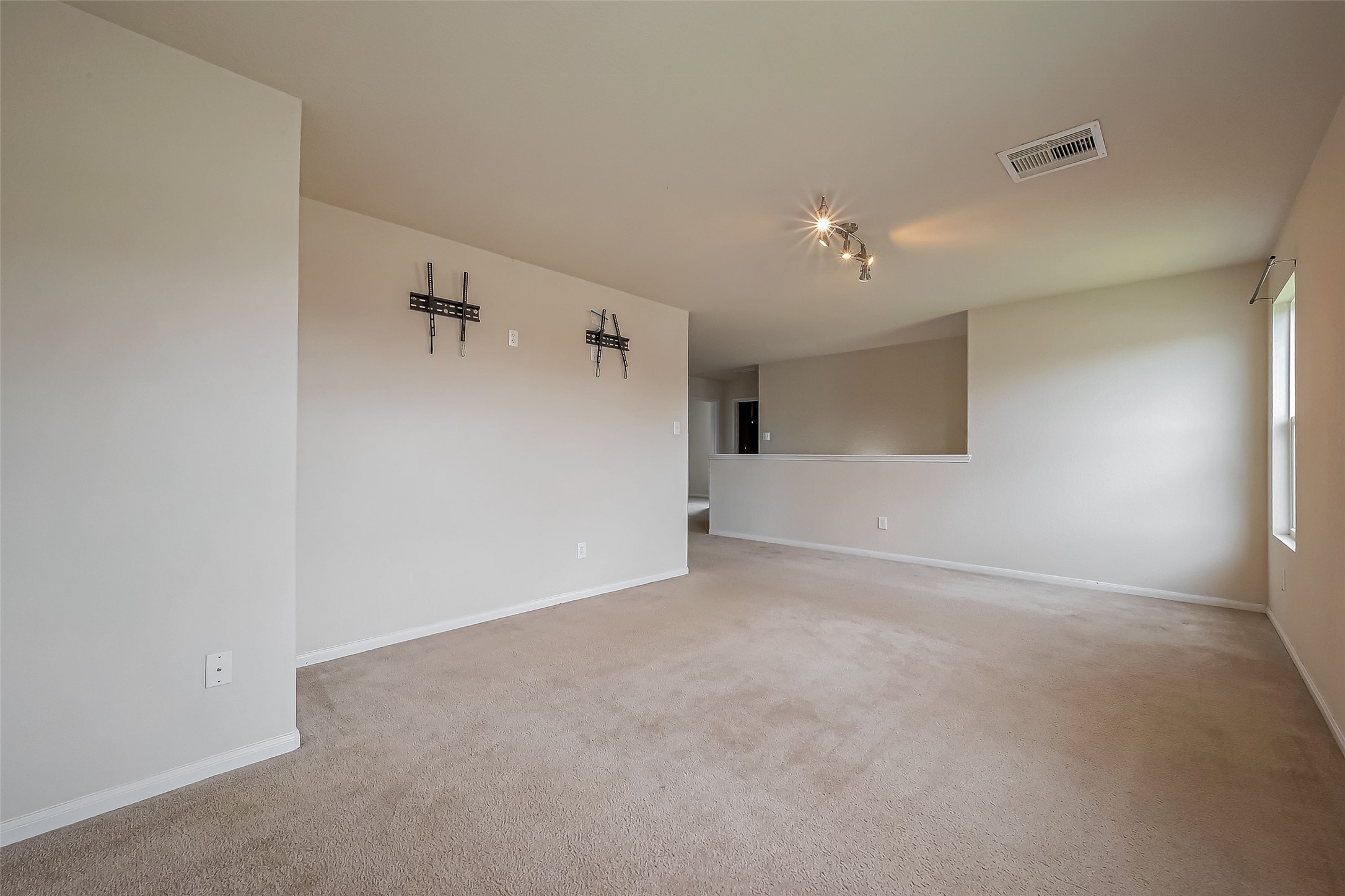 13510 Dahlia Green Way Property Photo 26