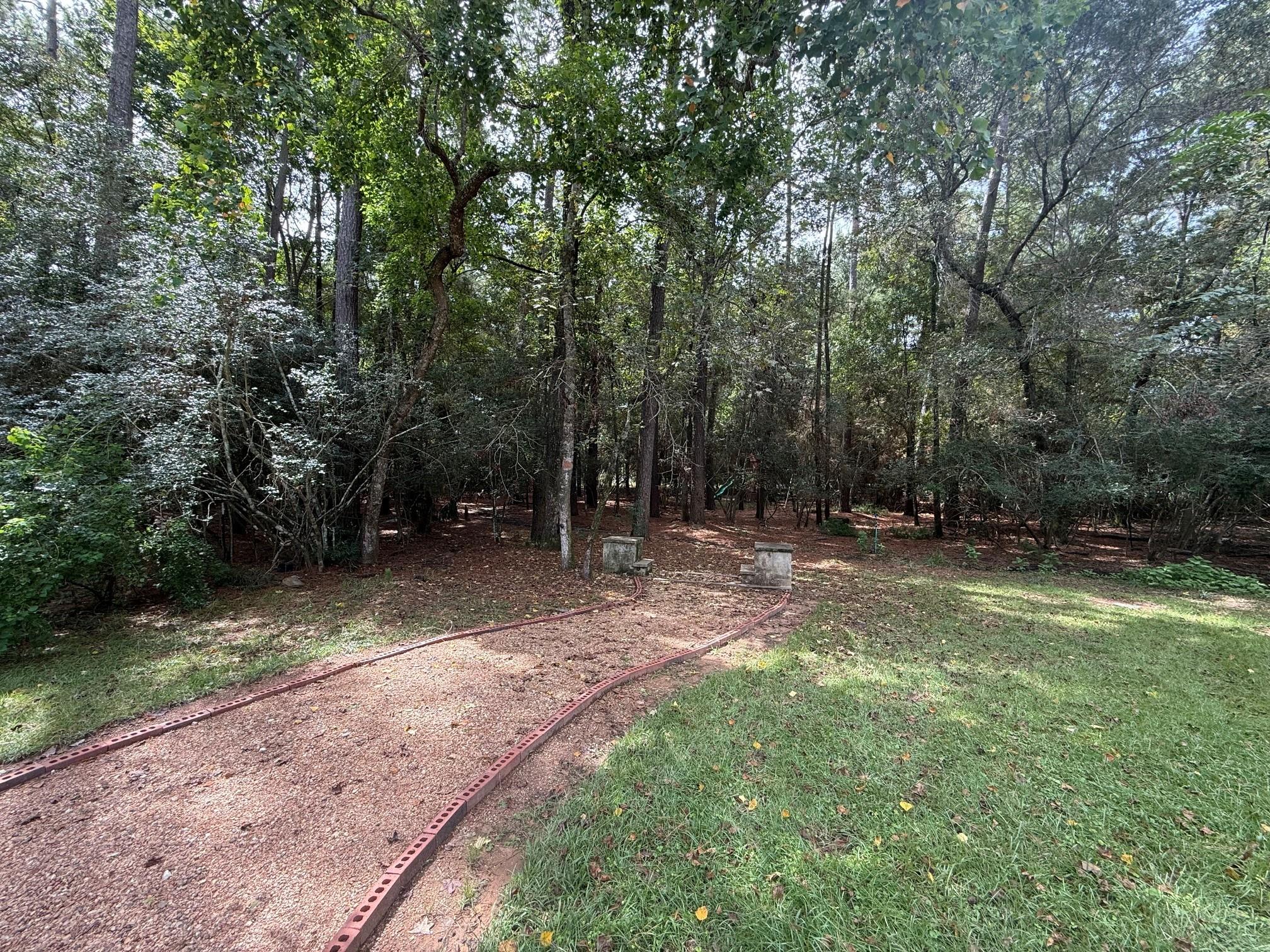 11011 Sea Mist, Magnolia Tx 77354 Property Photo 3