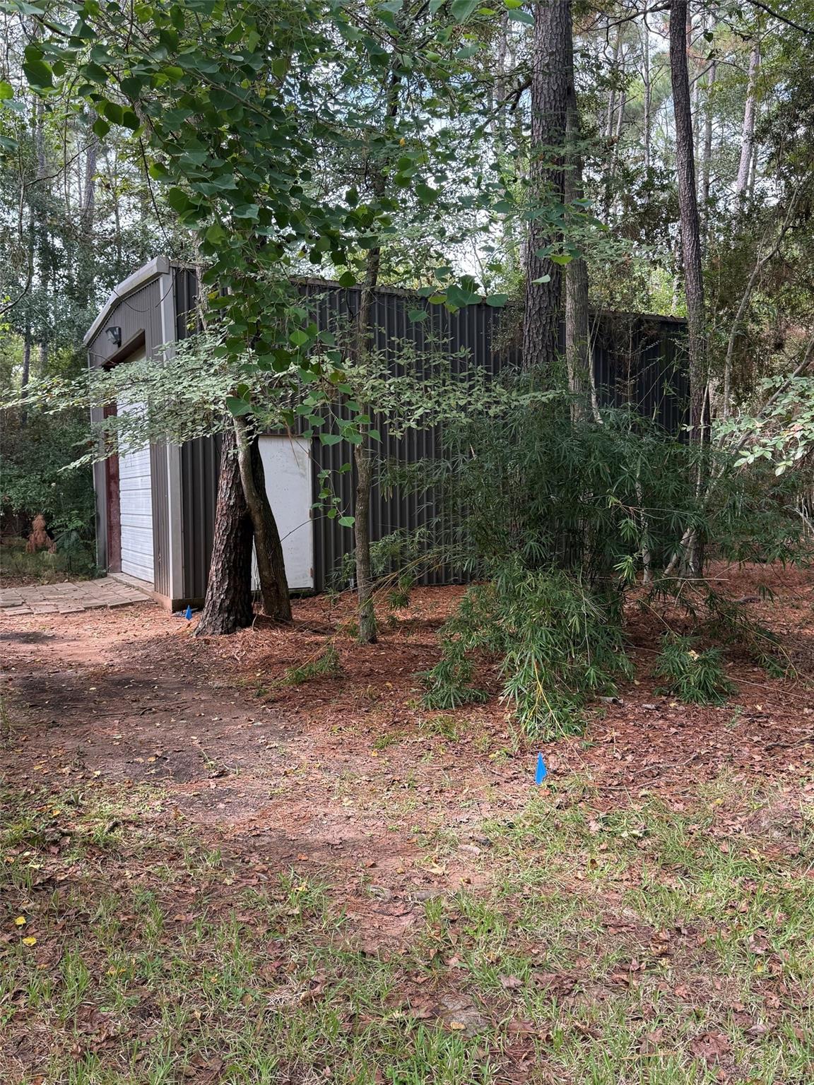 11011 Sea Mist, Magnolia Tx 77354 Property Photo 7