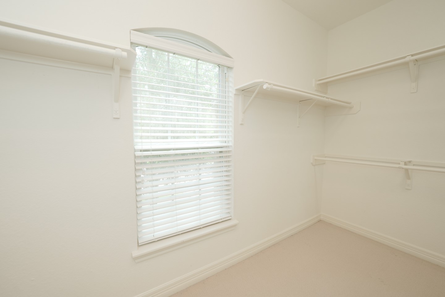 10005 Willowmoor Lane Property Photo 36
