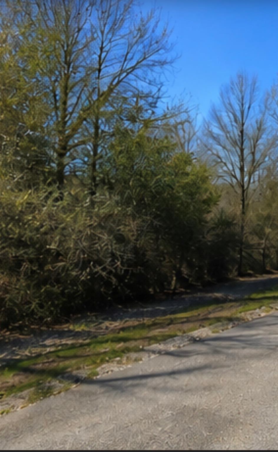 0 Hilltop Road, Kendleton Tx 77435 Property Photo 1