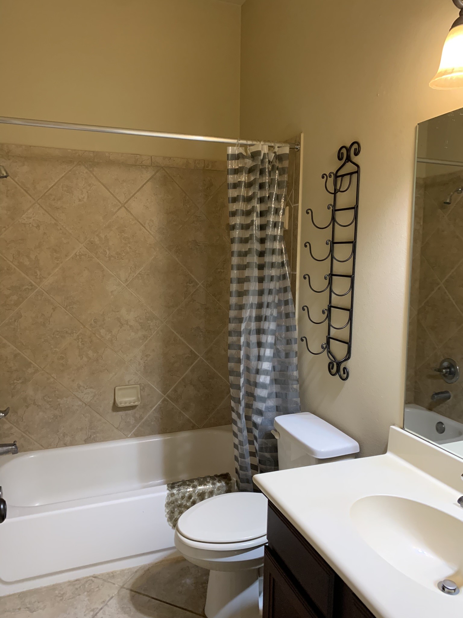 27006 Acadia Pine Lane Property Photo 17