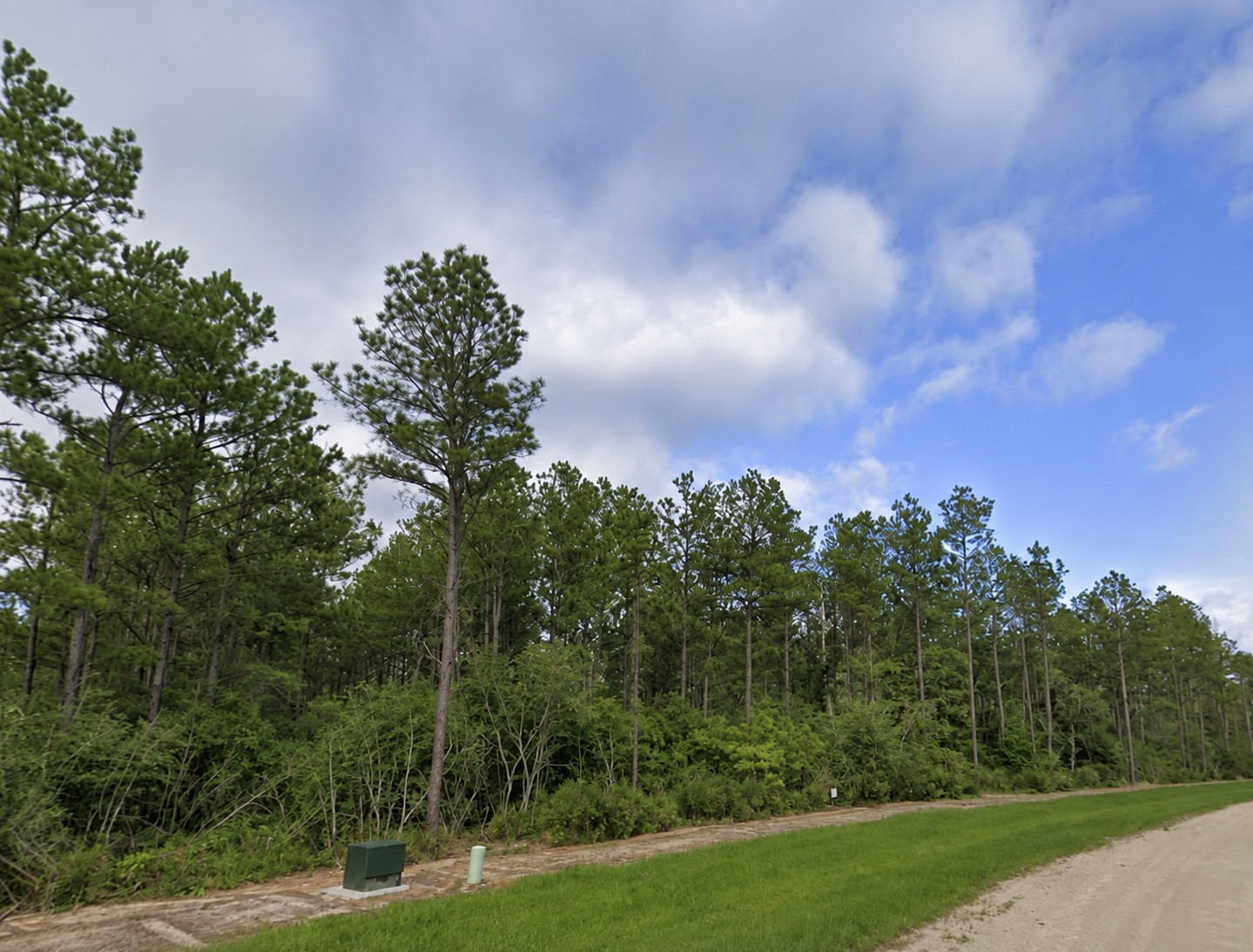 15729 Forest Grove Drive Property Photo 2