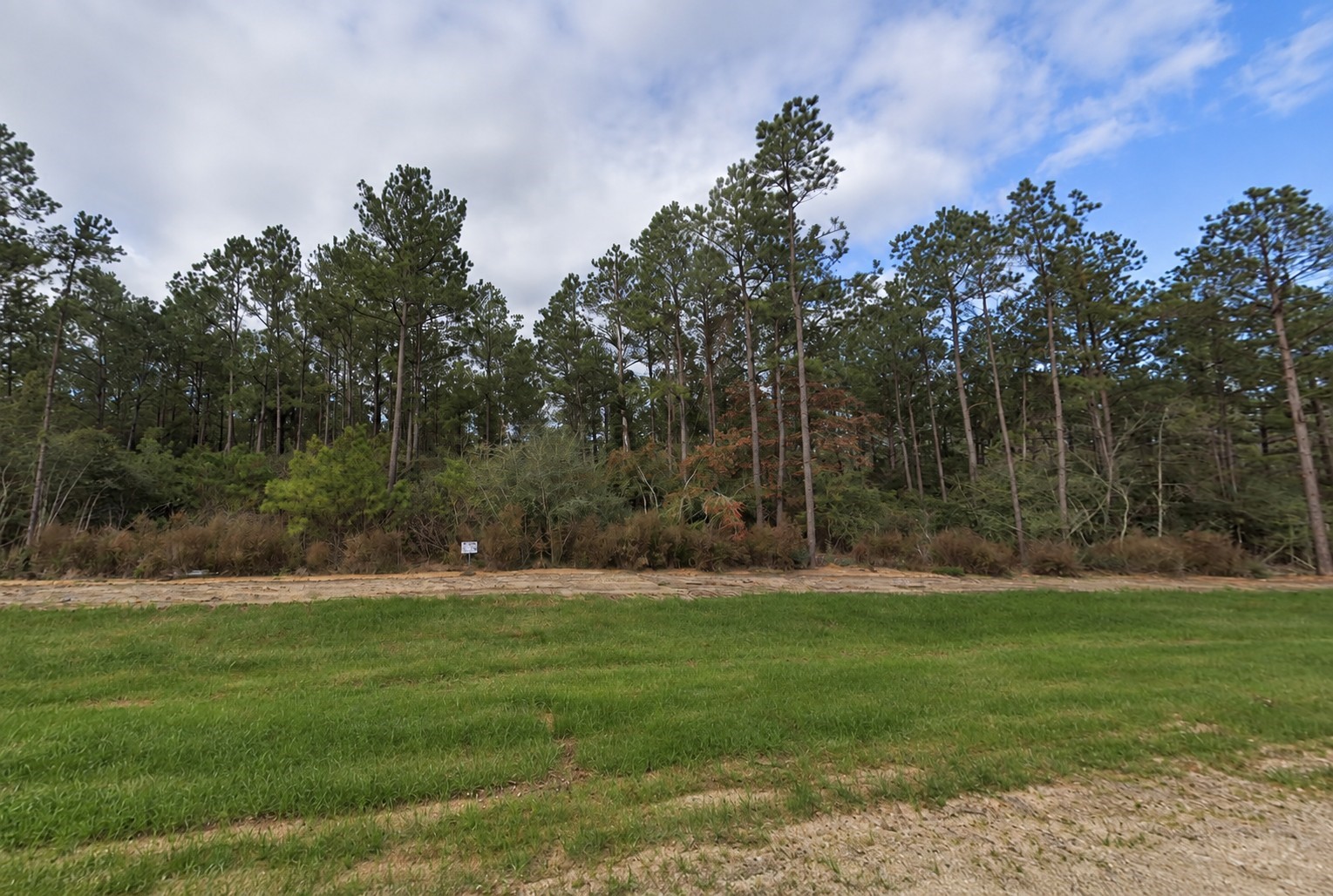 15729 Forest Grove Drive Property Photo 3