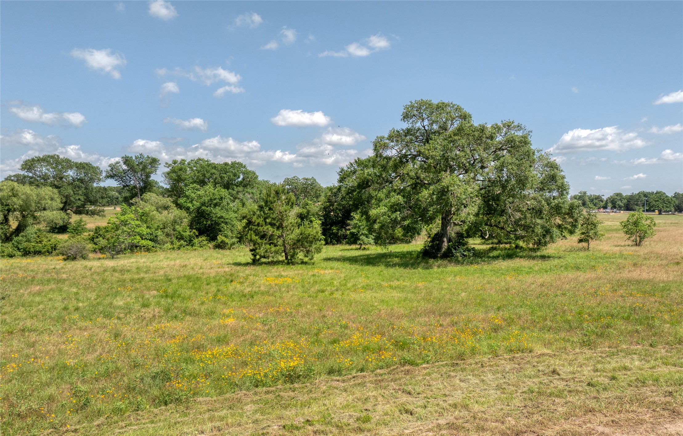 296 Bellwood Lake Lane Property Photo 1