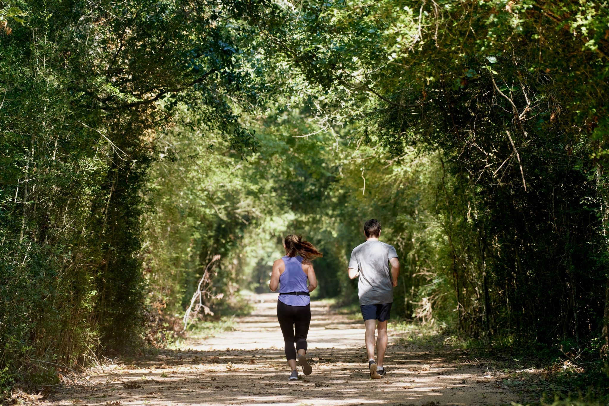 10834 Day Jassamine Way Property Photo 31