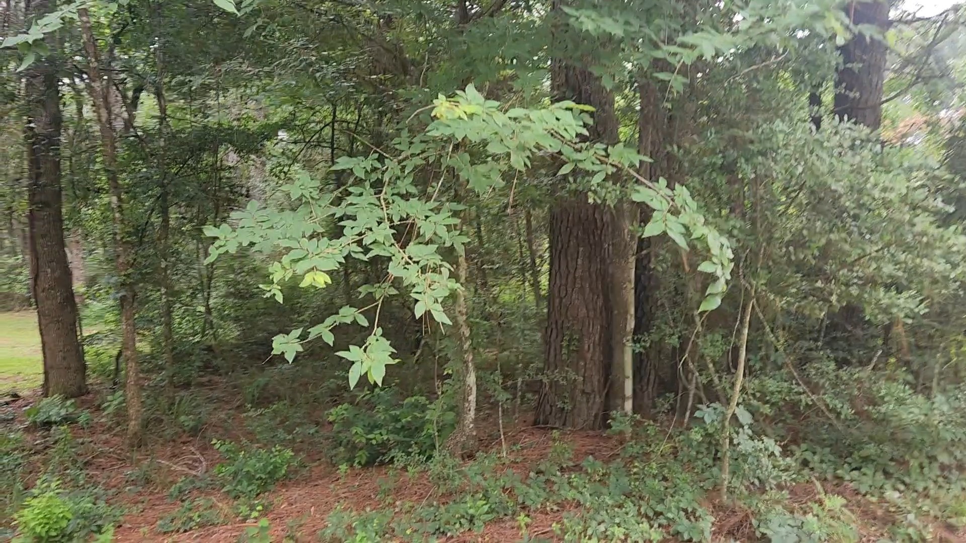 Lot 8 Walnut Tree Lane Property Photo 9