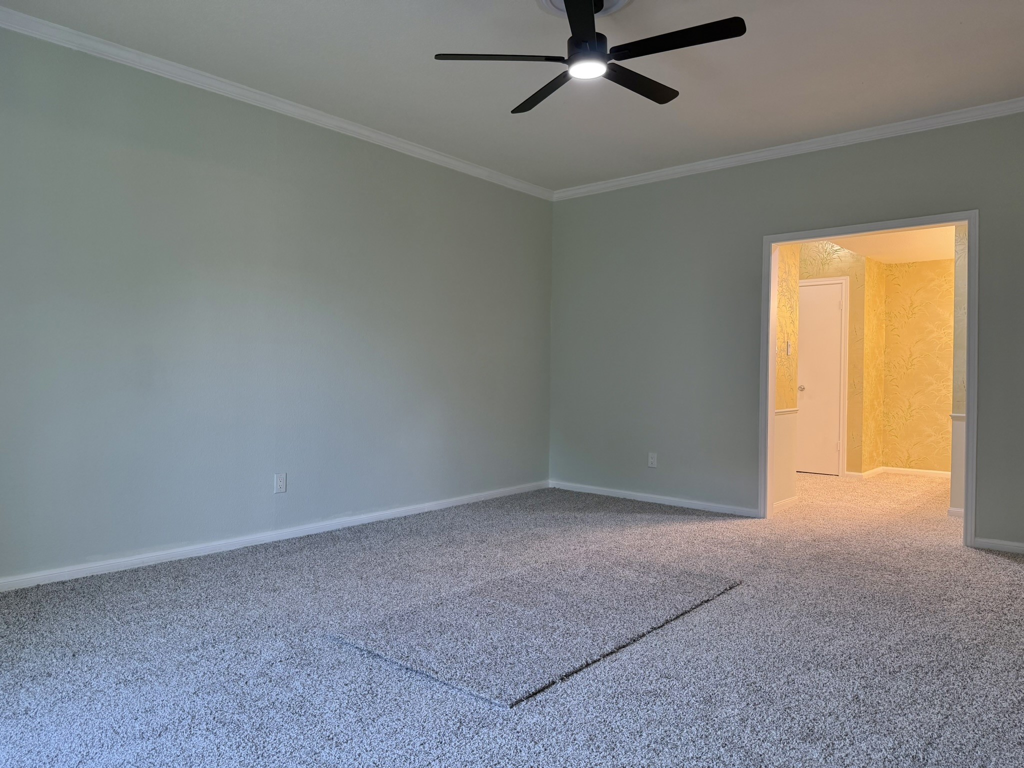 2400 N Braeswood Boulevard 318 Property Photo 28