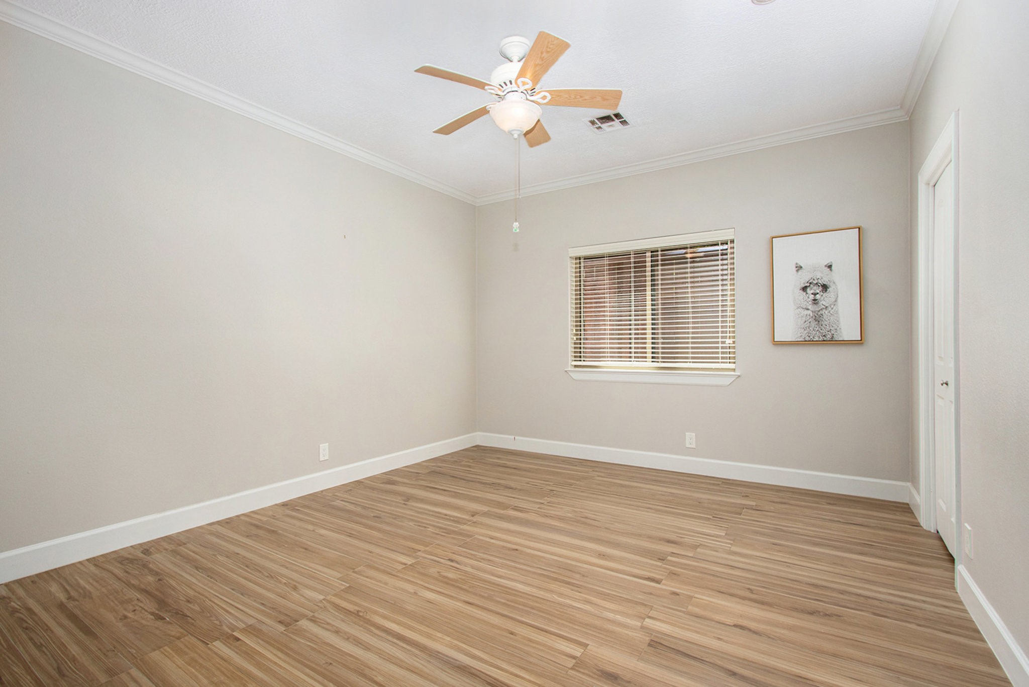 807 Spear Point Cove Property Photo 30