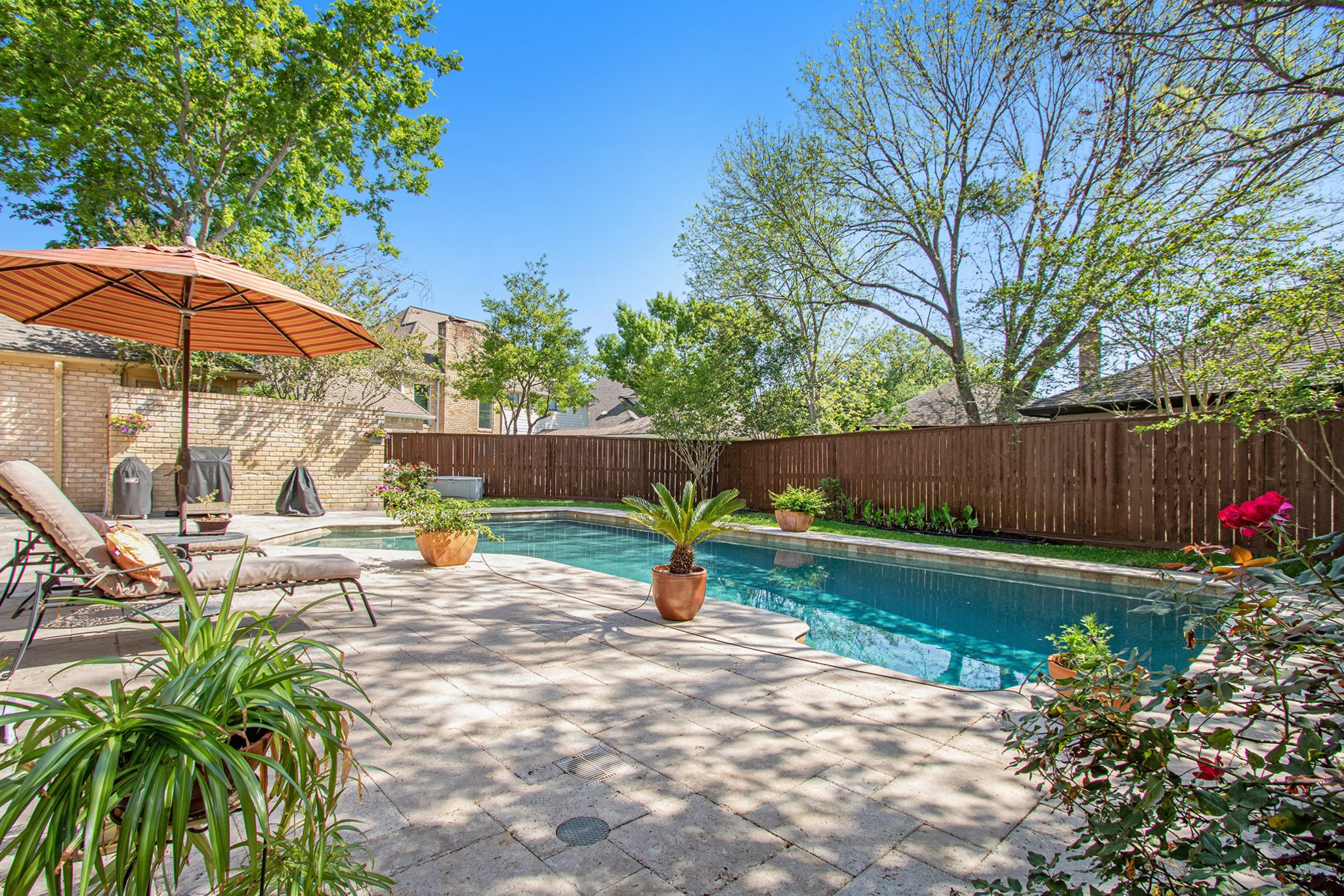 807 Spear Point Cove Property Photo 42