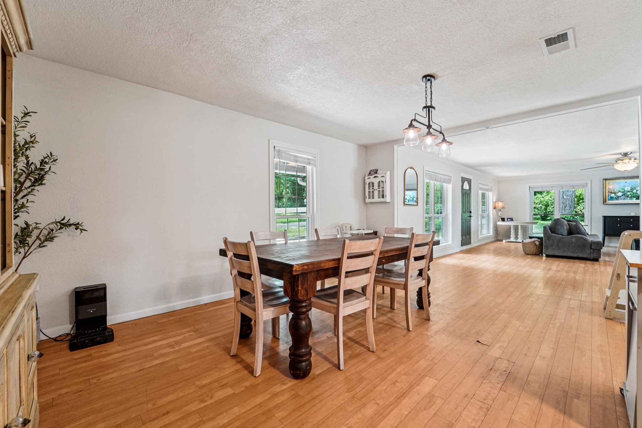 15191 Mcrae Lake Property Photo 9