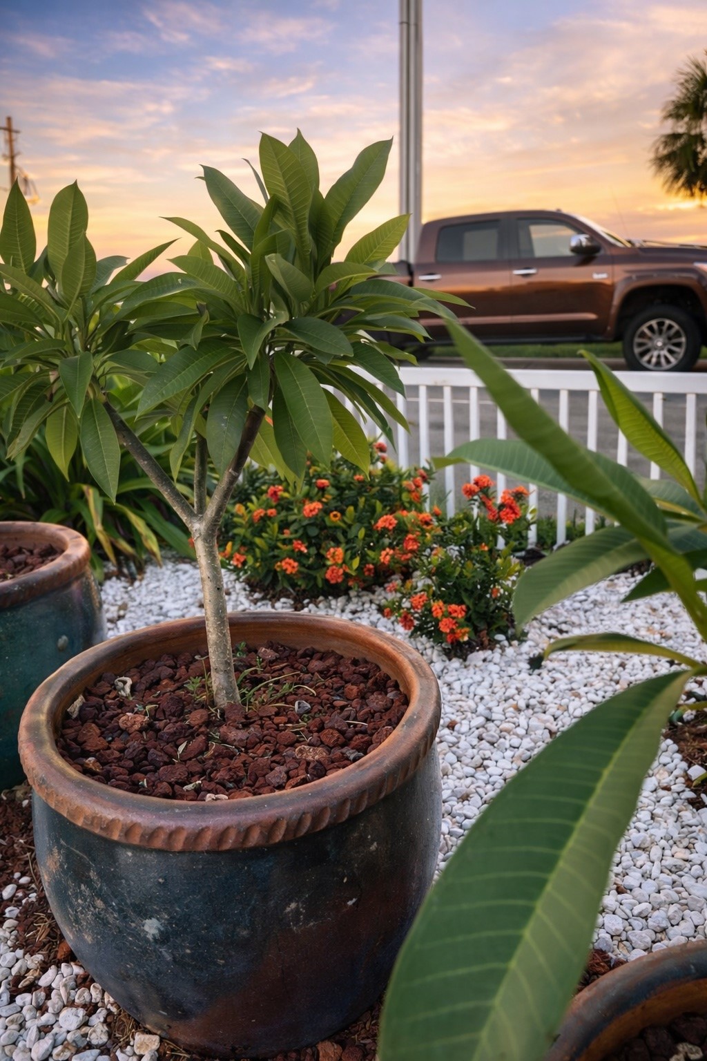 431 Hana Drive Property Photo 16