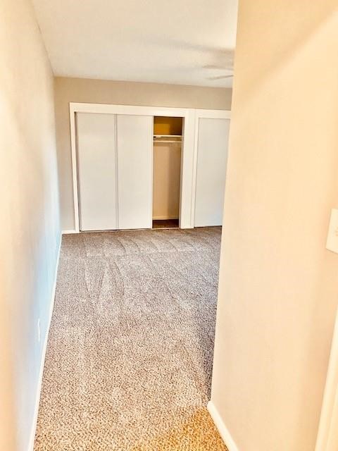 3919 Hickok Lane Property Photo 21