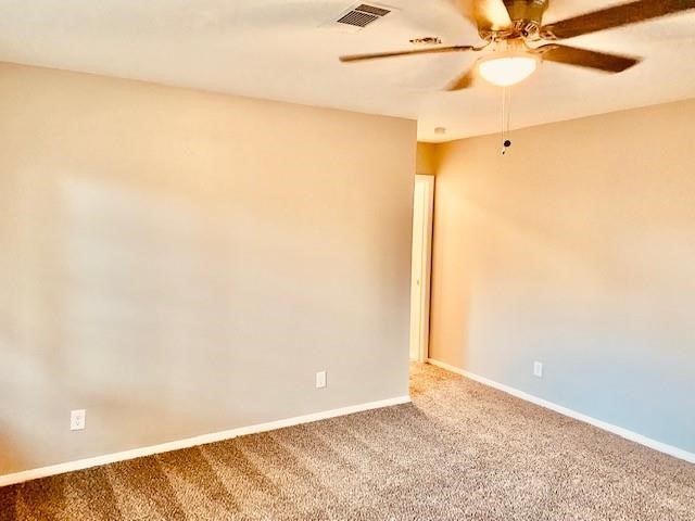 3919 Hickok Lane Property Photo 24