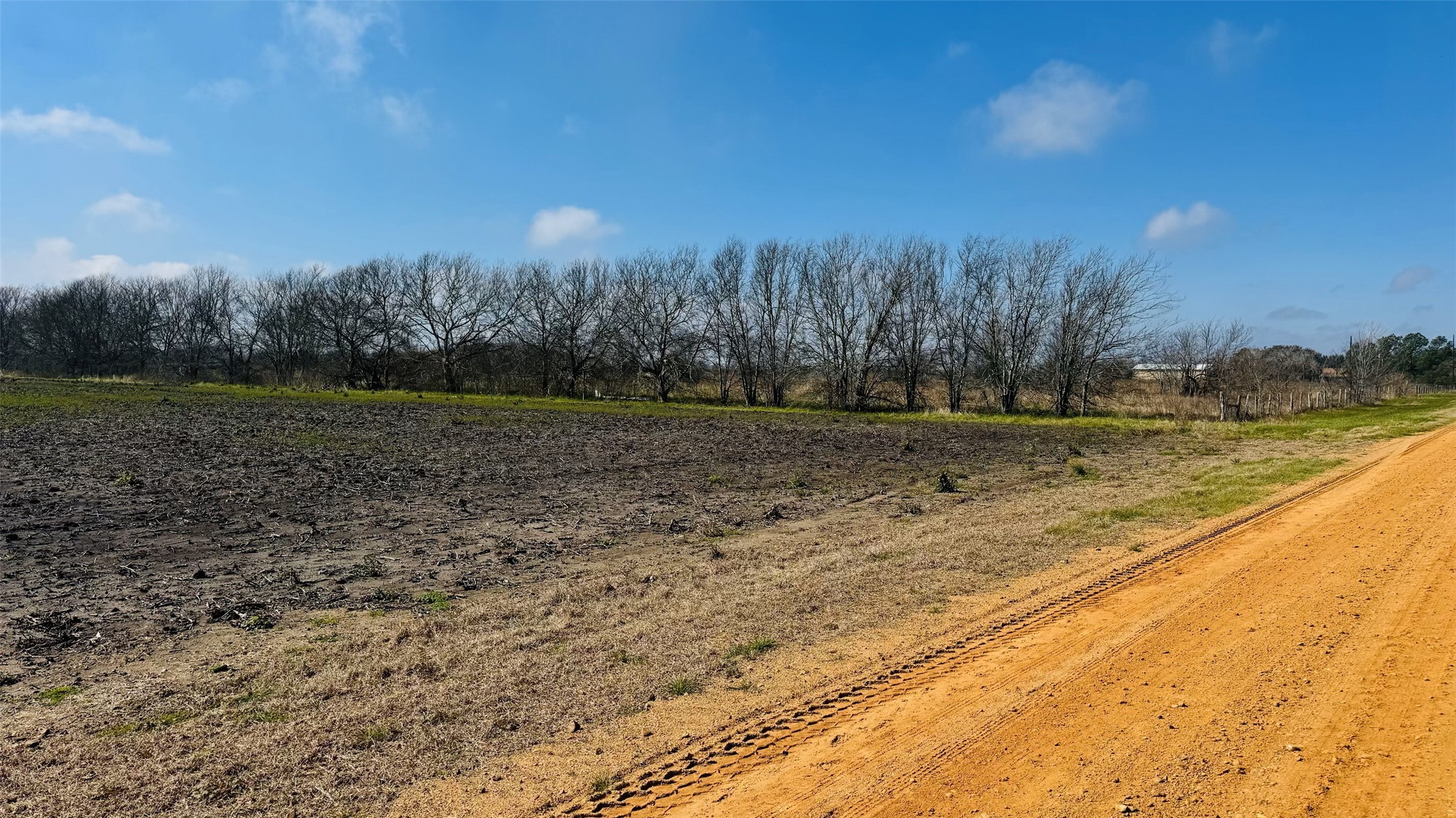 Tbd Lot 1 County Road 414 Property Photo 3