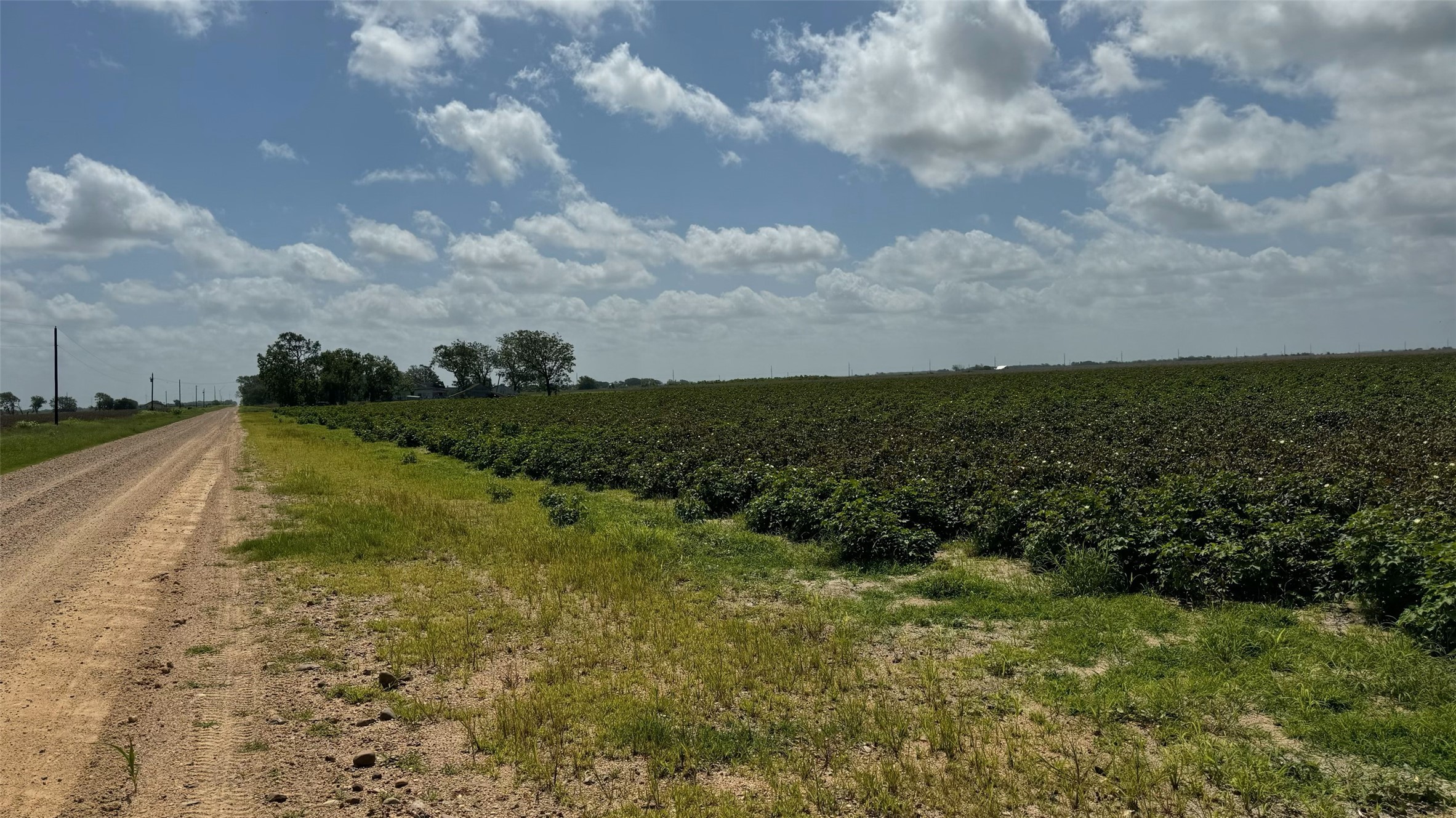 Tbd Lot 1 County Road 414 Property Photo 9