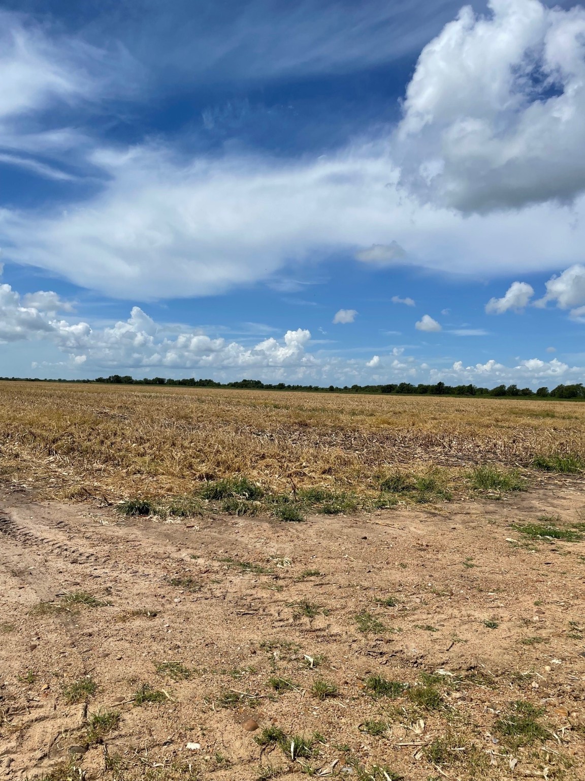 Tbd Lot 1 County Road 414 Property Photo 10