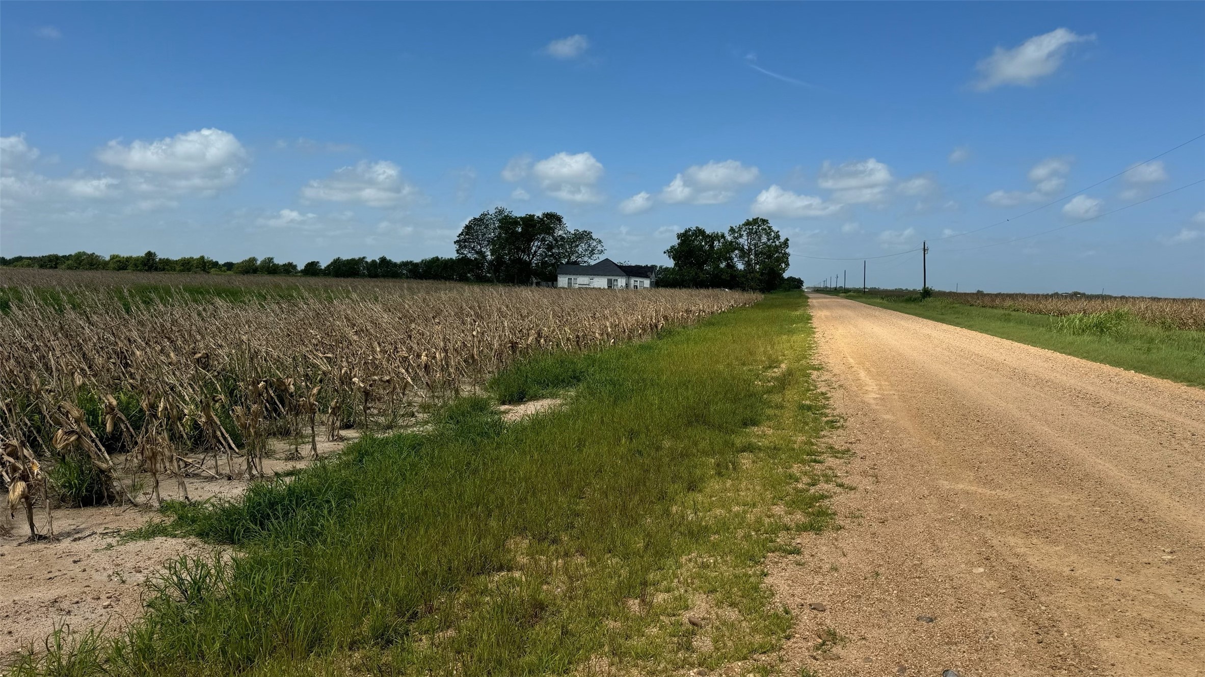Tbd Lot 1 County Road 414 Property Photo 11