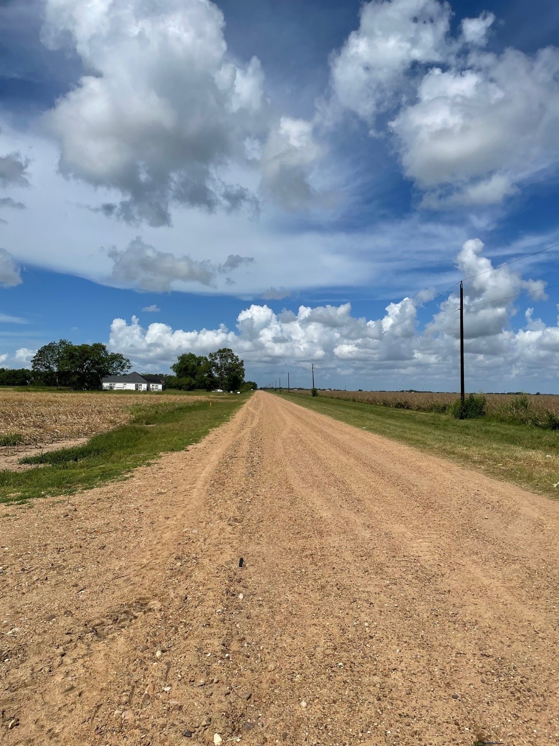 Tbd Lot 1 County Road 414 Property Photo 12